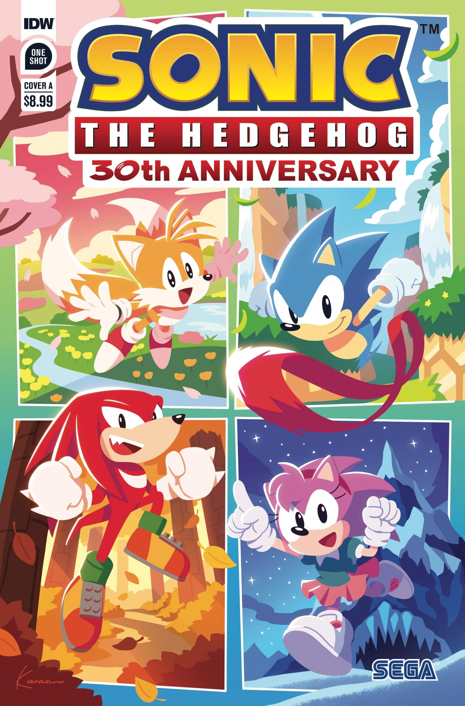 Sonic the Hedgehog: Special Comic Cover Team Sonic