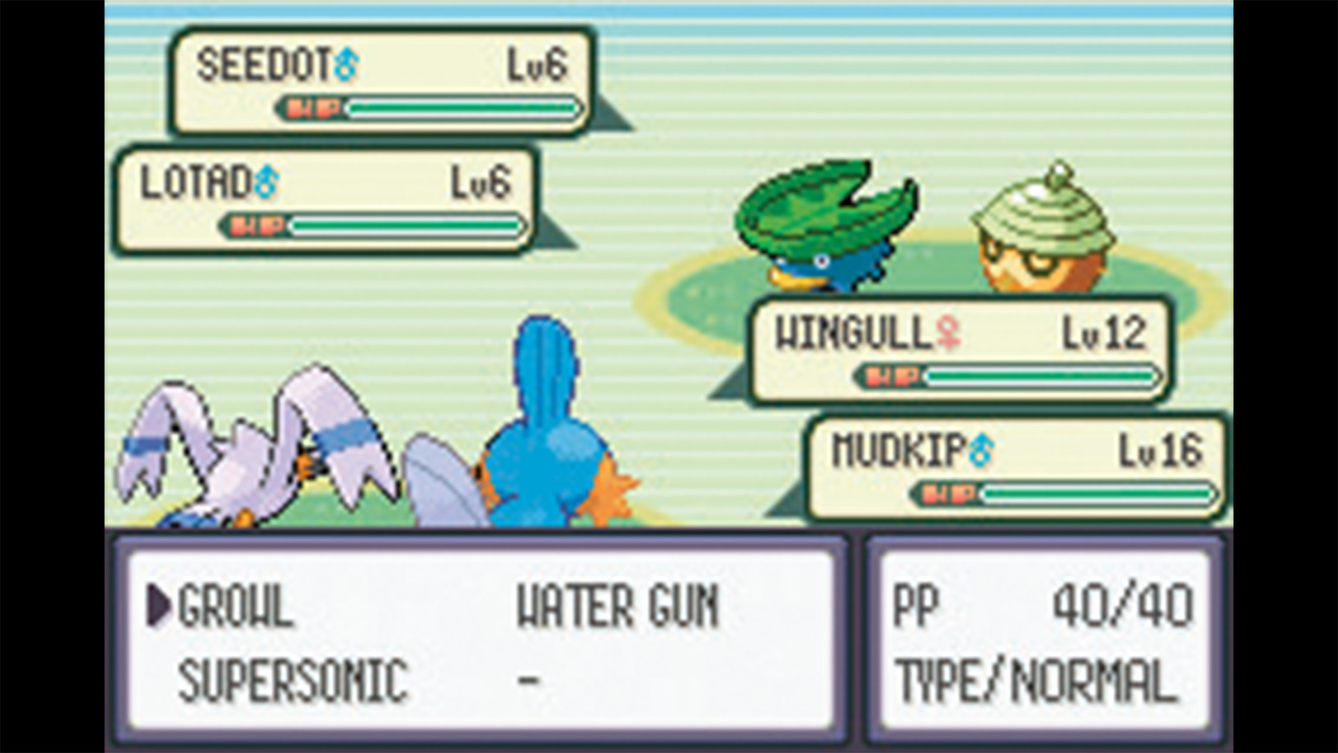 Zurück nach Hoenn? Pokémon-Fans dürfen hoffen