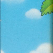 Image 17