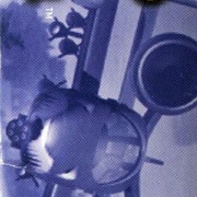 Image 10