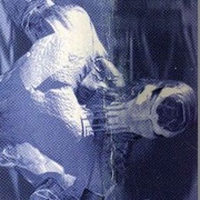 Image 22