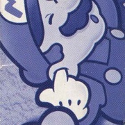 Image 20