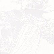 Image 33