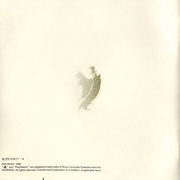 Image 13