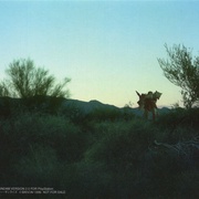 Image 19