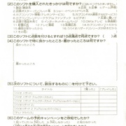 Image 31