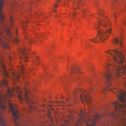 Image 13