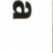 Image 13