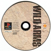 Image 21