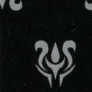 Image 14
