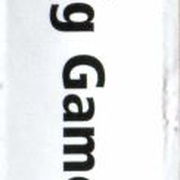 Image 10