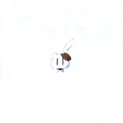 Image 16