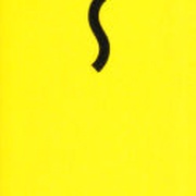Image 31