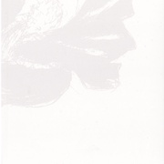 Image 57