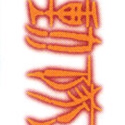Image 17