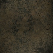 Image 25