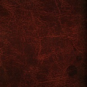 Image 32