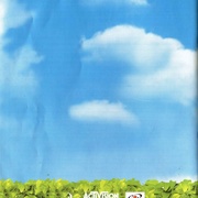Image 8