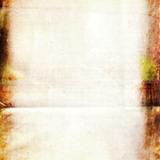 Image 31