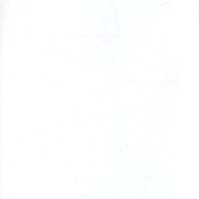 Image 28