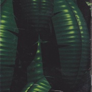 Image 21