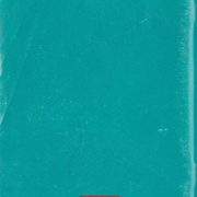 Image 31