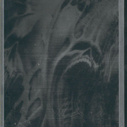 Image 14