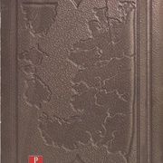 Image 29