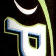 Image 14