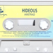 Image 4