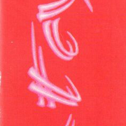 Image 25