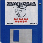 Image 4
