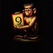 Image 22
