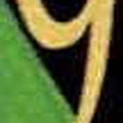 Image 13