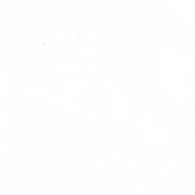 Image 16