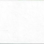 Image 53