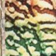 Image 24
