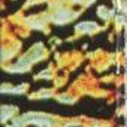 Image 22