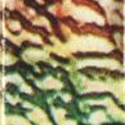 Image 27