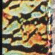Image 25