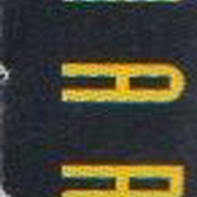 Image 13