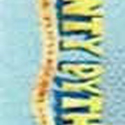 Image 20