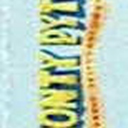 Image 21