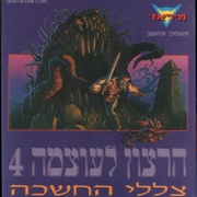 Image 21