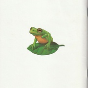 Image 39