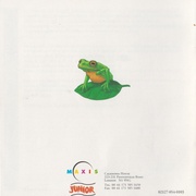 Image 19