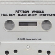 Image 4