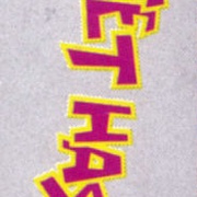 Image 13