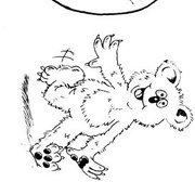 Image 38