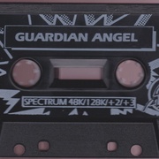 Image 7